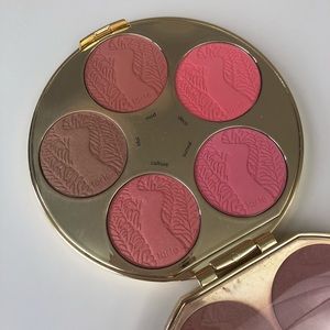 Tarte Blush book